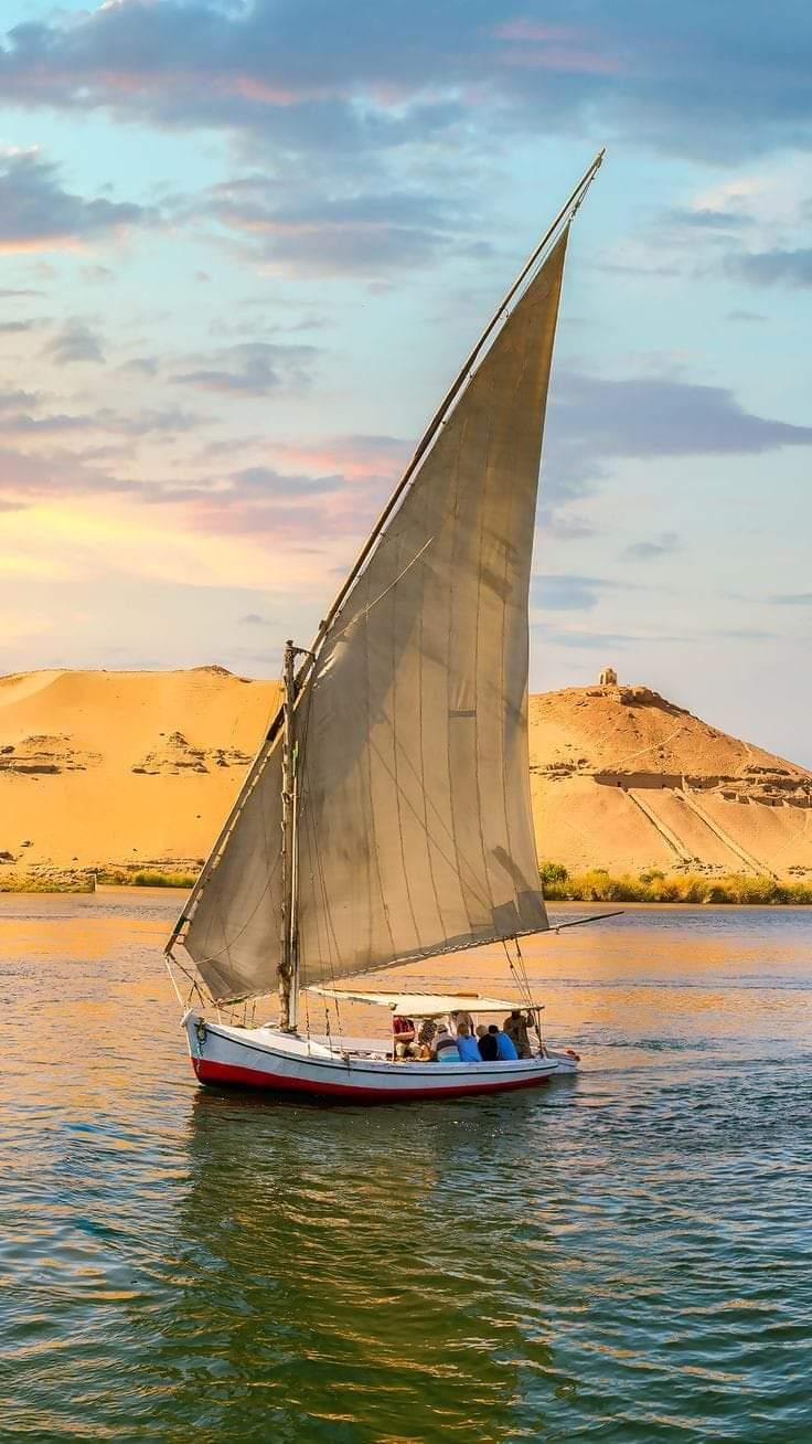 assuan-westbank-kamelritt